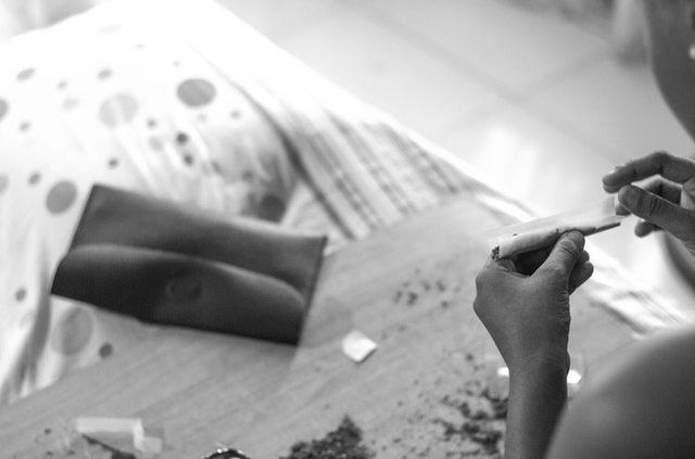 Cannabis Día de la Marihuana