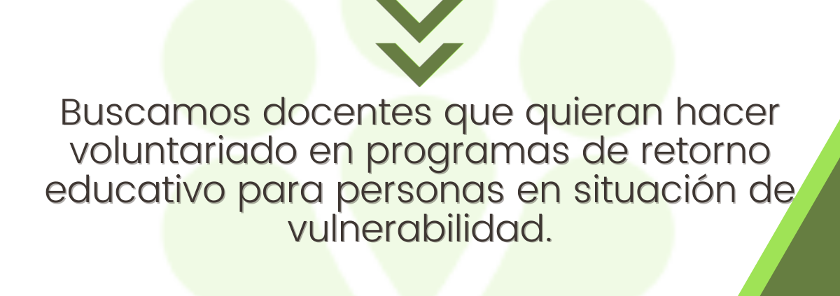 Docentes para voluntariado NOESSO